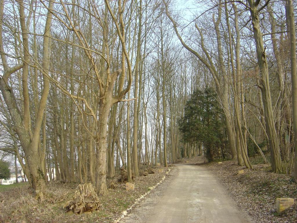 Chateau Du Jard Chaumont-en-Vexin Zewnętrze zdjęcie